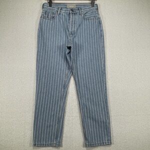 Everlane The 90s Cheeky Straight Jean Blue and White Striped Jeans